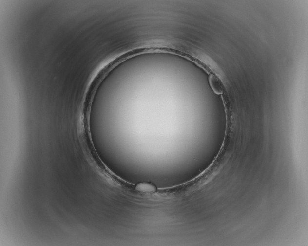 X0000112740928200908201343