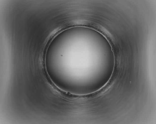 X0000112740930200908201343