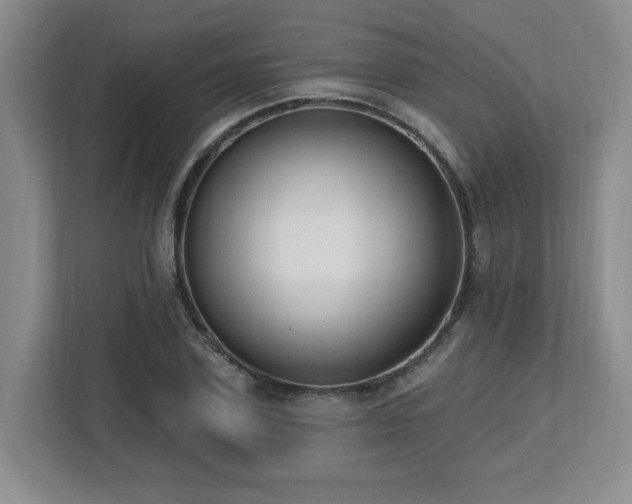 X0000112740931200908201343