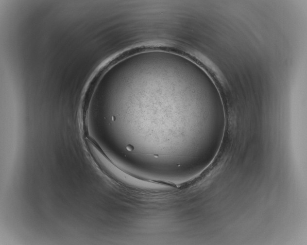 X0000112740935200908201343