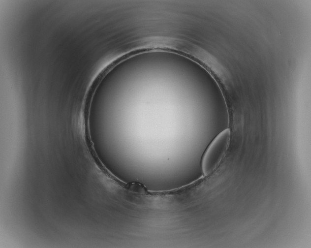 X0000112740936200908201343