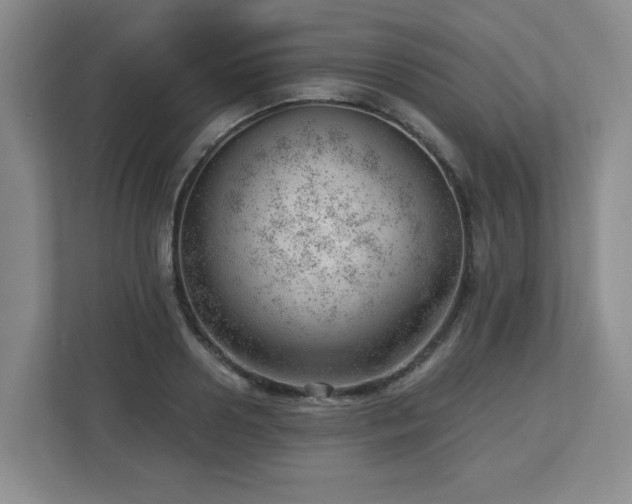 X0000112740938200908201343
