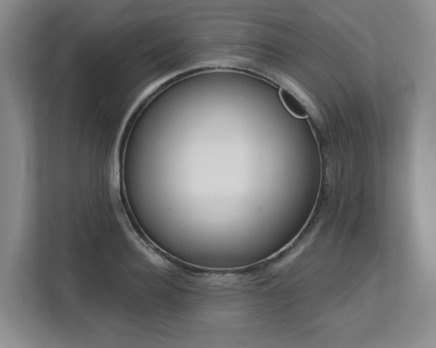 X0000112740940200908201343
