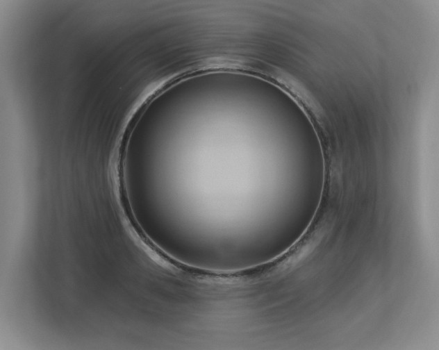 X0000112740941200908201343