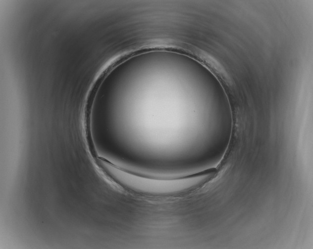 X0000112740942200908201343