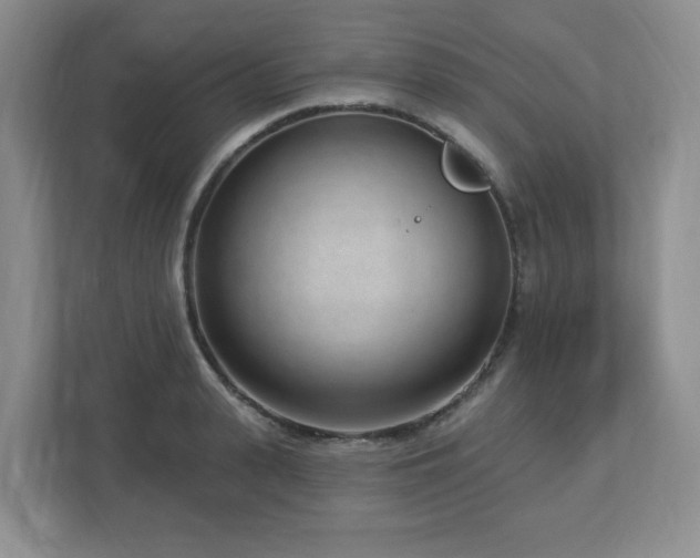 X0000112740943200908201343