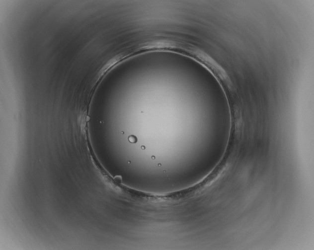 X0000112740945200908201343
