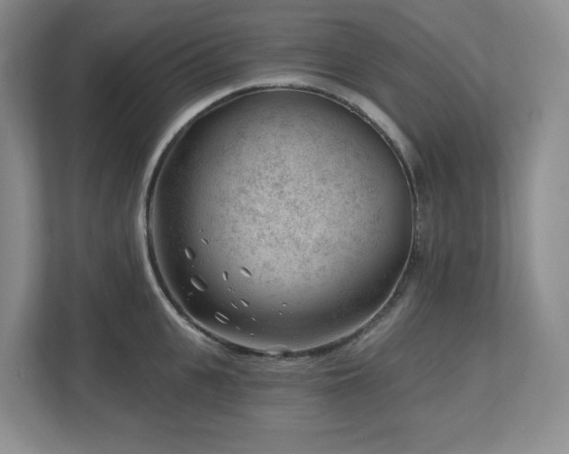 X0000112740951200908201344