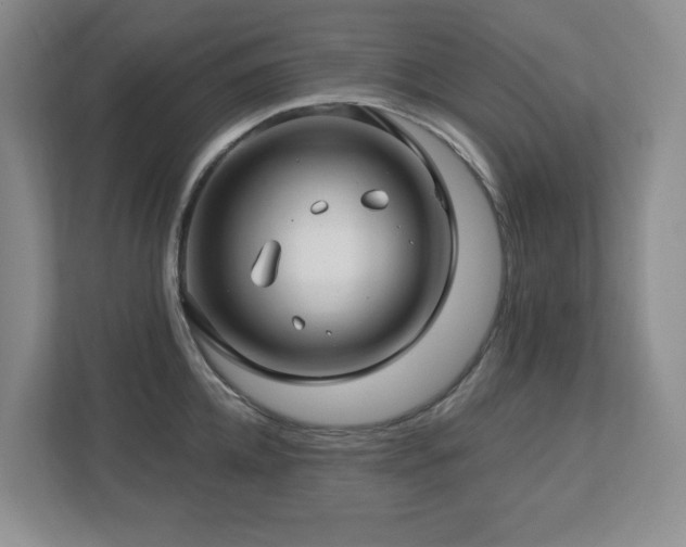 X0000112740952200908201344