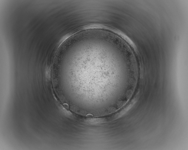 X0000112740953200908201344