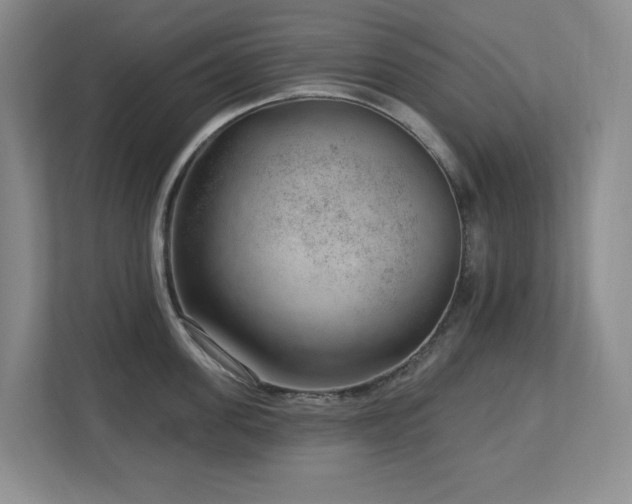 X0000112740955200908201344
