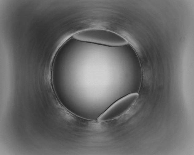 X0000112740956200908201344