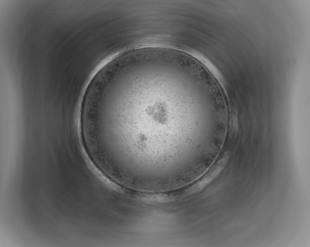 X0000112740957200908201344