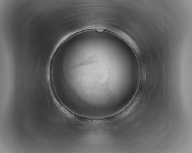 X0000112740958200908201344