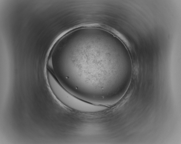 X0000112740959200908201344