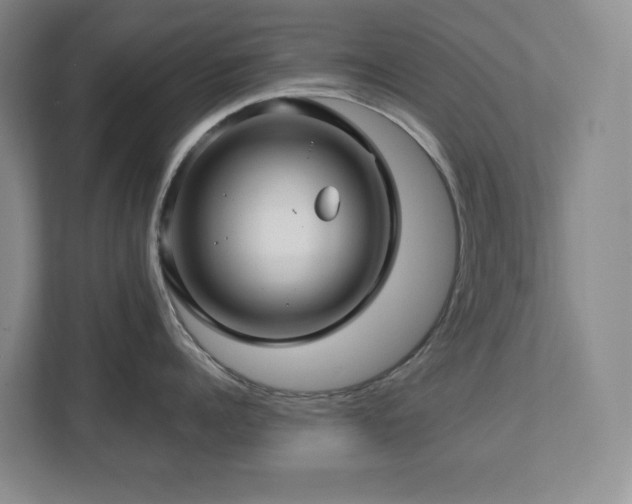 X0000112740960200908201344