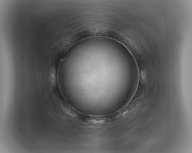 X0000112740963200908201343