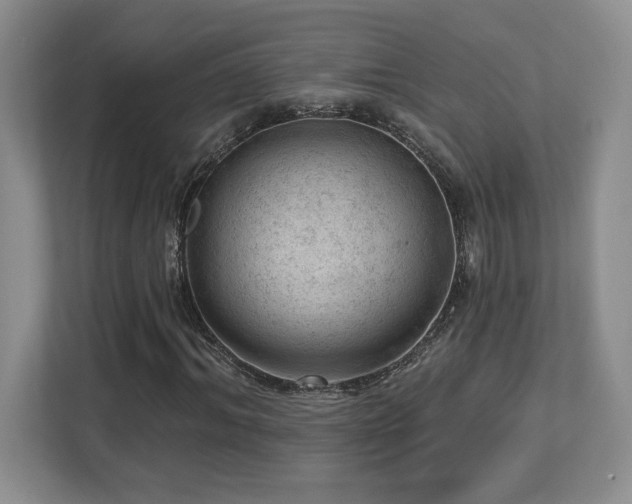 X0000112740964200908201343