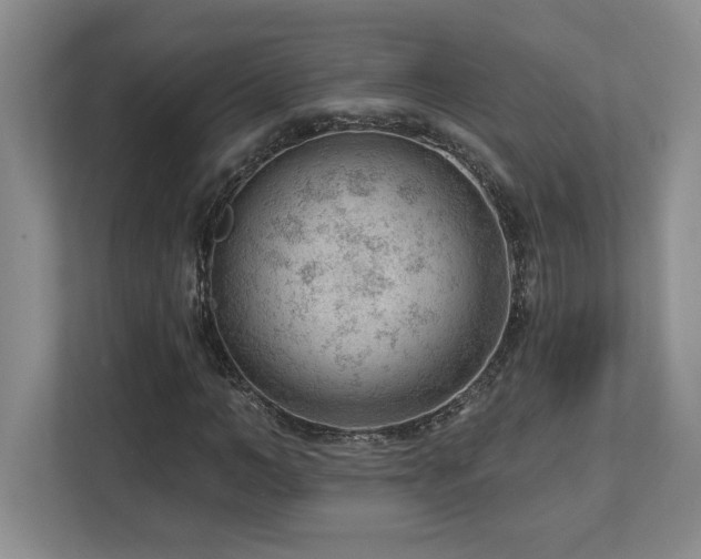 X0000112740966200908201343