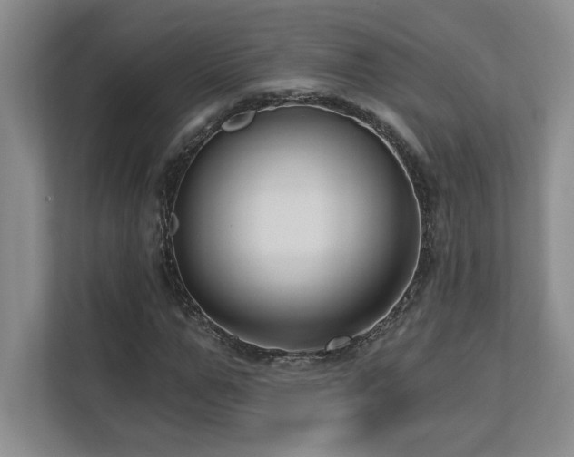 X0000112740967200908201343