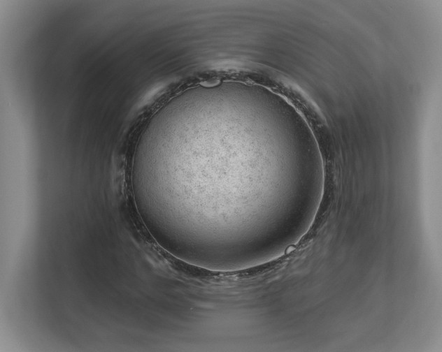 X0000112740968200908201343