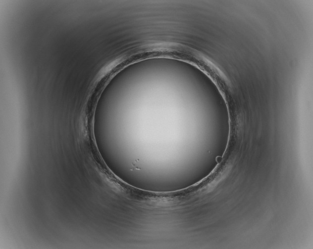 X0000112740970200908201343