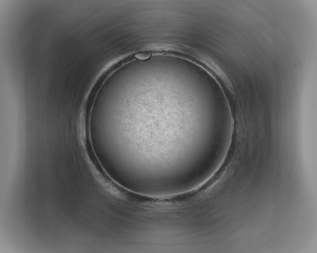 X0000112740984200908201343