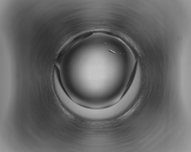X0000112740985200908201343