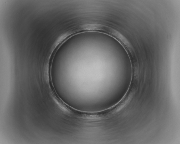 X0000112740986200908201343
