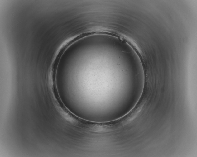 X0000112740987200908201343