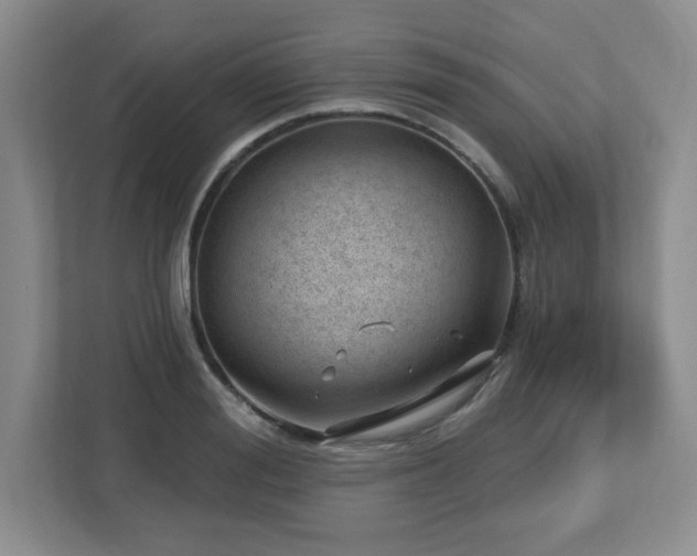 X0000112740988200908201343