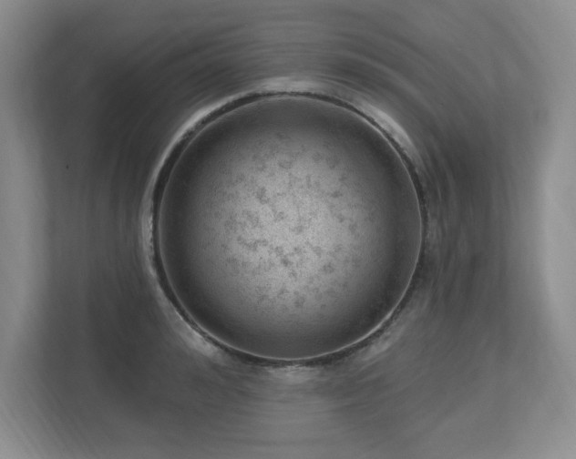 X0000112740992200908201343