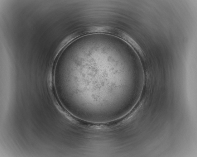 X0000112740994200908201343