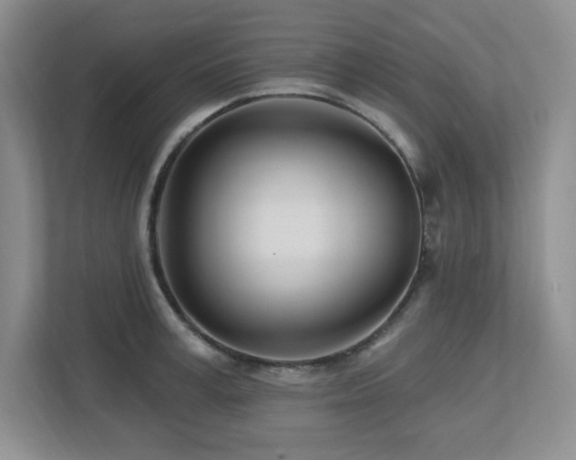 X0000112740995200908201343