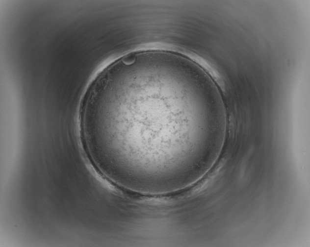X0000112740998200908201343