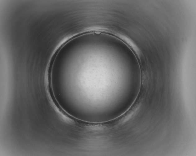 X0000112740999200908201343