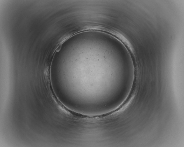 X0000112741001200908201343