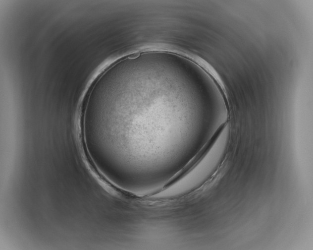 X0000112741005200908201342