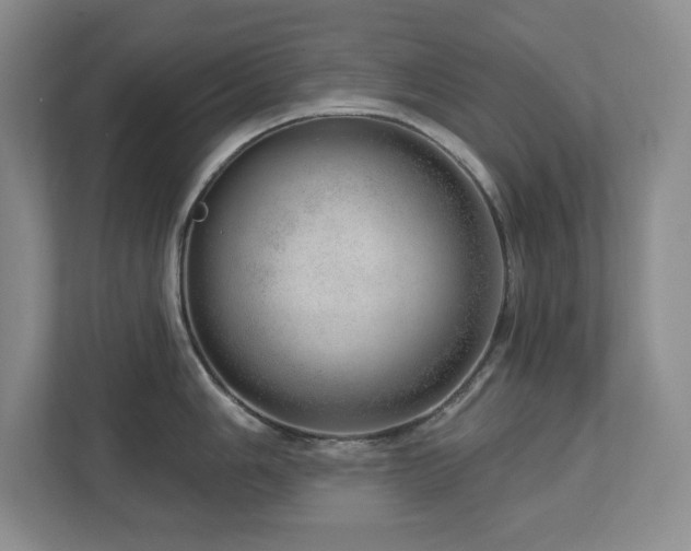 X0000112741006200908201342