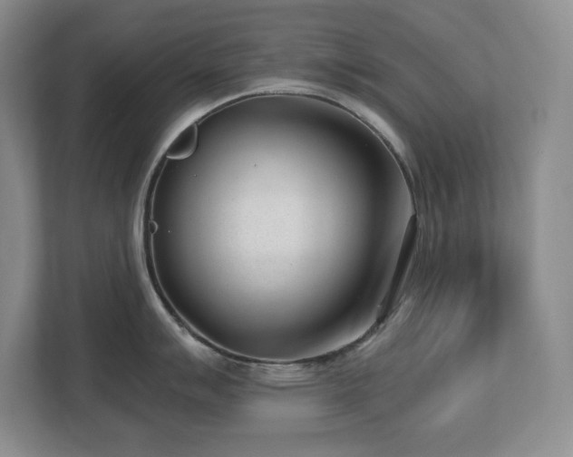 X0000112741007200908201342