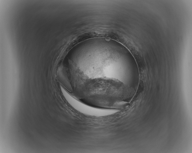 X0000112741009200908201342