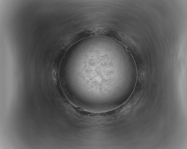 X0000112741010200908201342