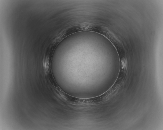 X0000112741011200908201342