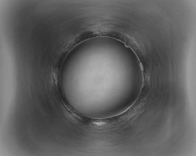 X0000112741012200908201342