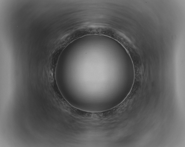 X0000112741013200908201342