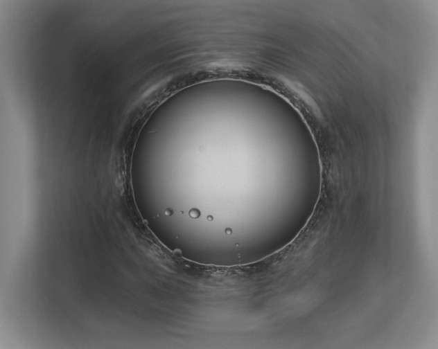 X0000112741015200908201342
