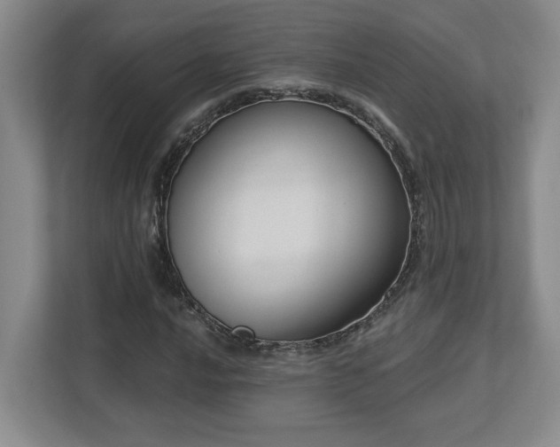 X0000112741016200908201342