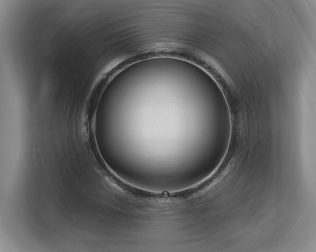 X0000112741018200908201342