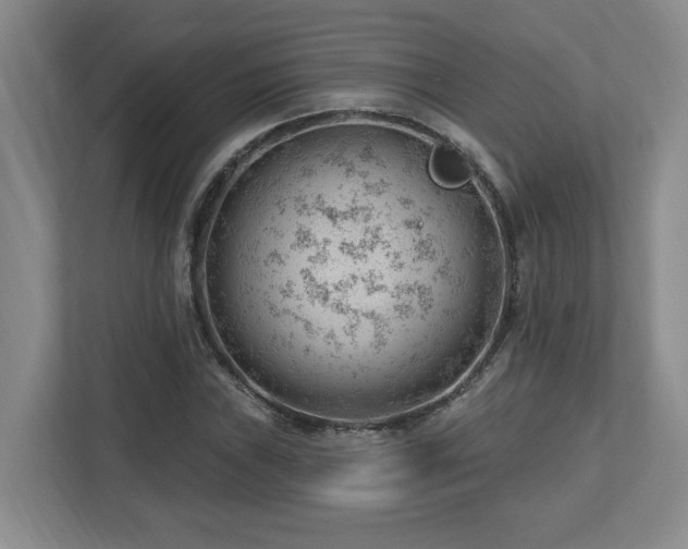 X0000112741019200908201342