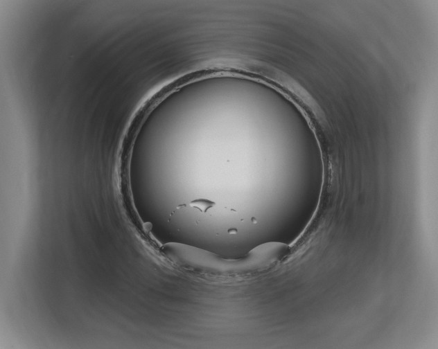X0000112741020200908201342